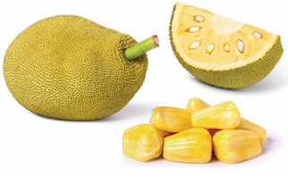 jackfruit