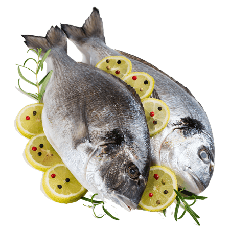 Fresh Fish